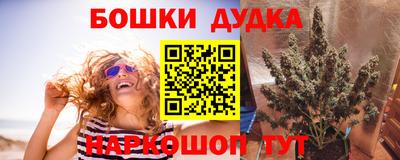 индика Партизанск