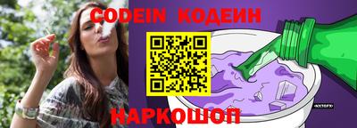 индика Партизанск