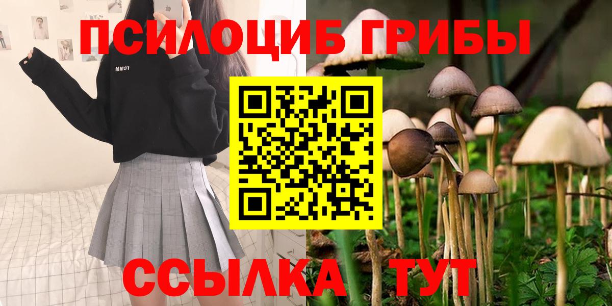 Псилоцибиновые грибы мухоморы  Псилоцибиновые грибы Magic Shrooms  Ковров  Вход с VPN 