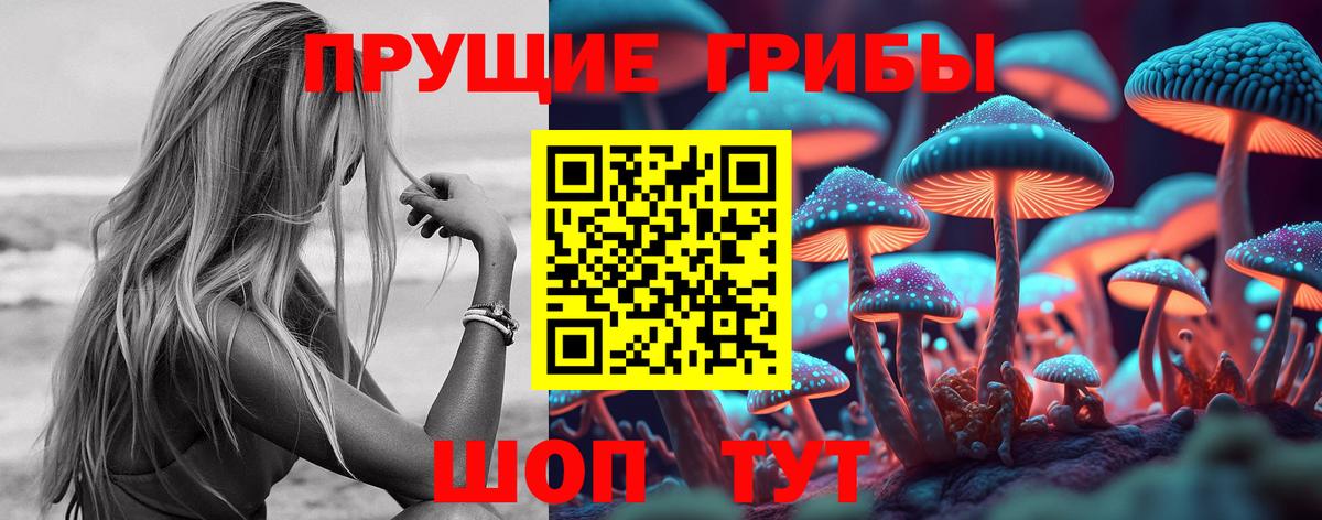Галлюциногенные грибы Psilocybine cubensis Ковров